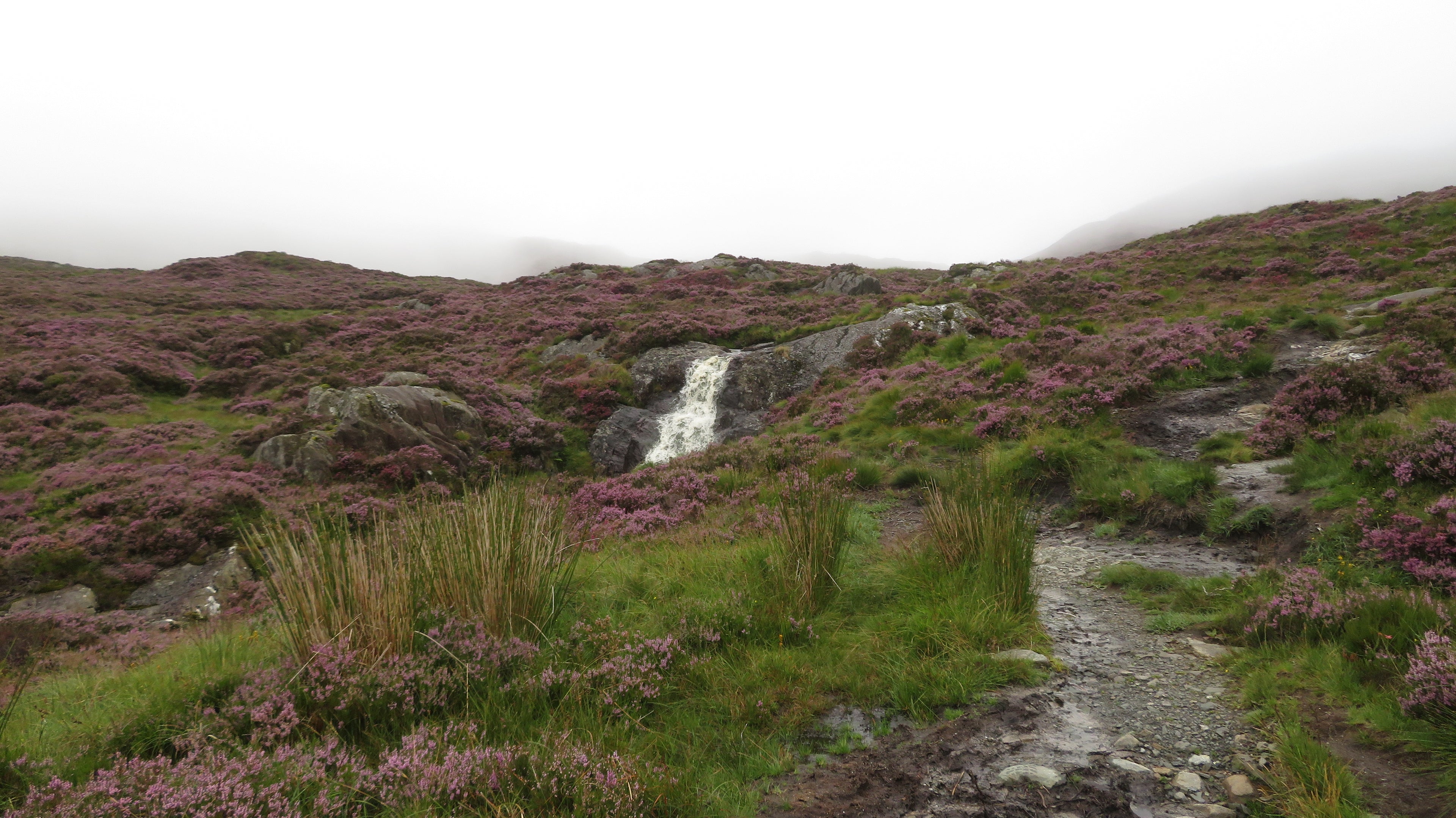 Small waterfall in a hilly landscape with purple heather and a cloudy sky.